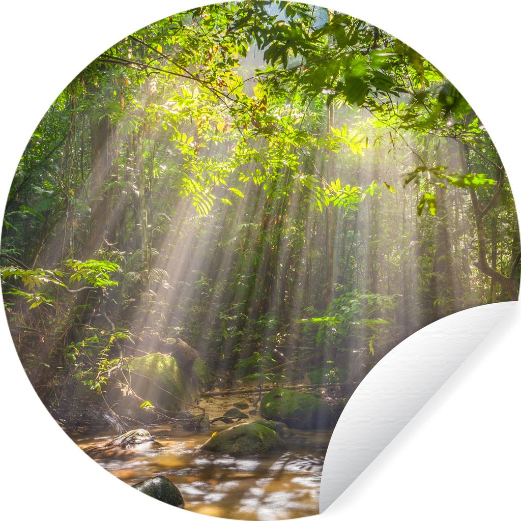 MuchoWow Runde Wandtattoo - Wandsticker Tapete Aufkleber Sonnenstrahlen durch Laub Ø 30 cm Selbstklebend und Repositionierbar - Wandaufkleber - ...