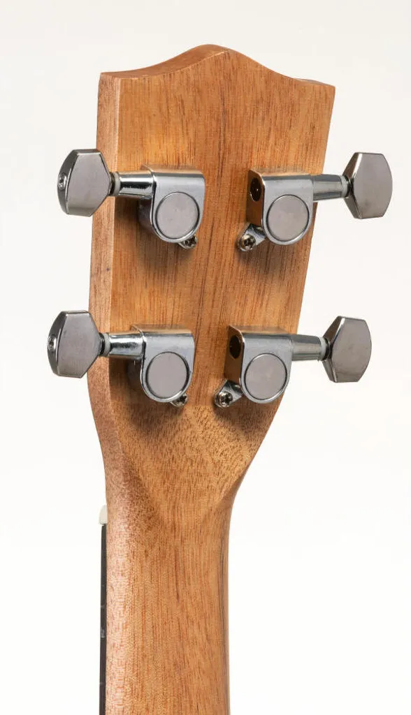 Ukulélé Concert VOLT pour Débutant dès 10 ans - Apprendre la Guitare