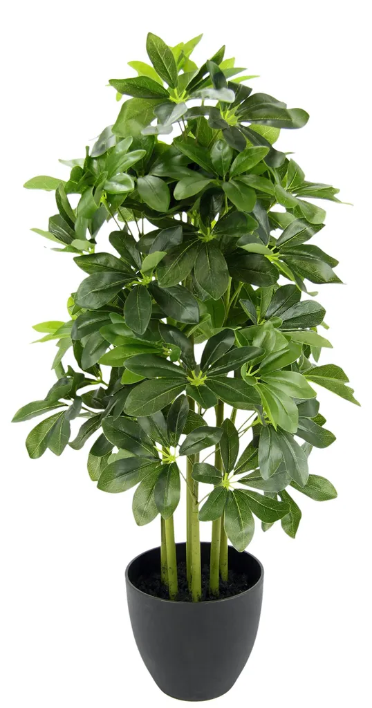Plante de Bureau Schefflera 83 cm - Décoration Végétale pour Intérieur