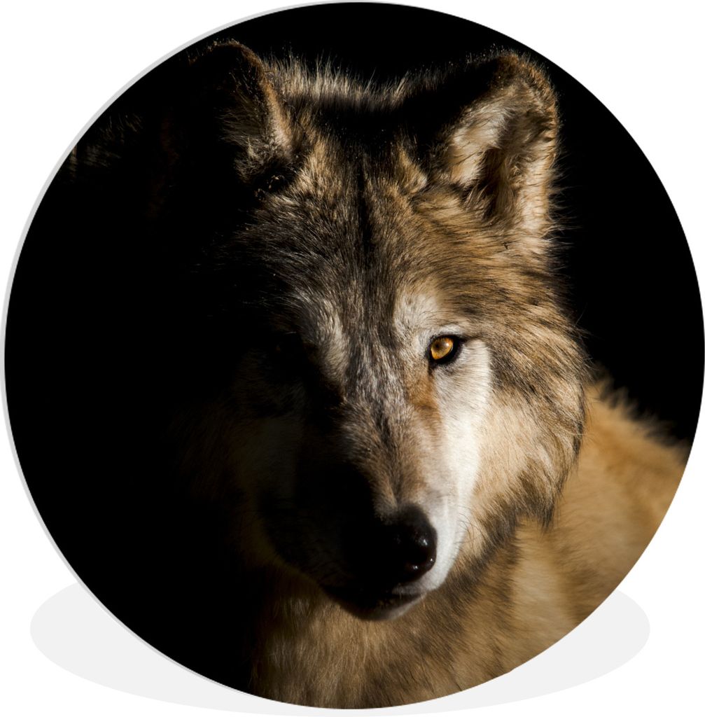 MuchoWow Rundes Wandbild - Runde Bilder Polarwolf Ø 30 cm Kreis Wanddekoration Kunststoff - Wandkreis - Wandschmuck - Schlafzimmer - Bilder - De...