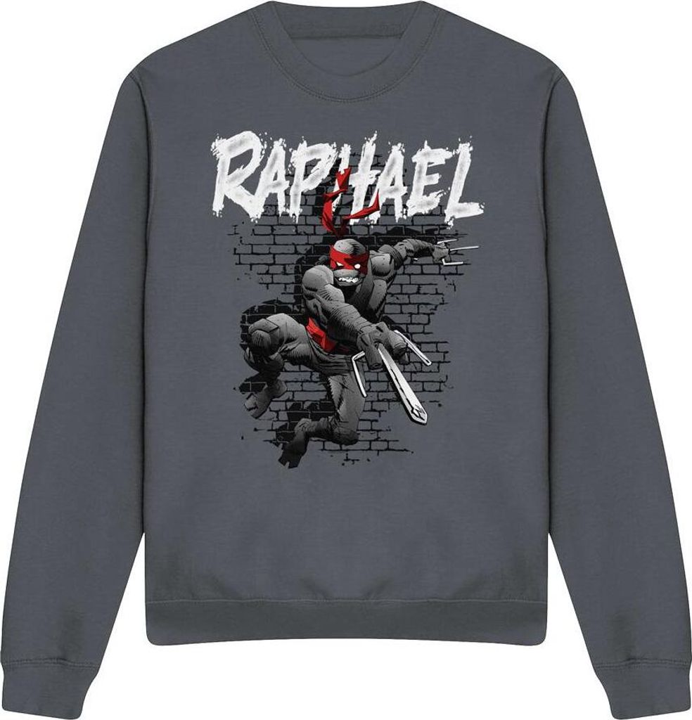Teenage Mutant Ninja Turtles - Sweatshirt für Herren/Damen Uni TV12739 (XXL) (Holzkohle)