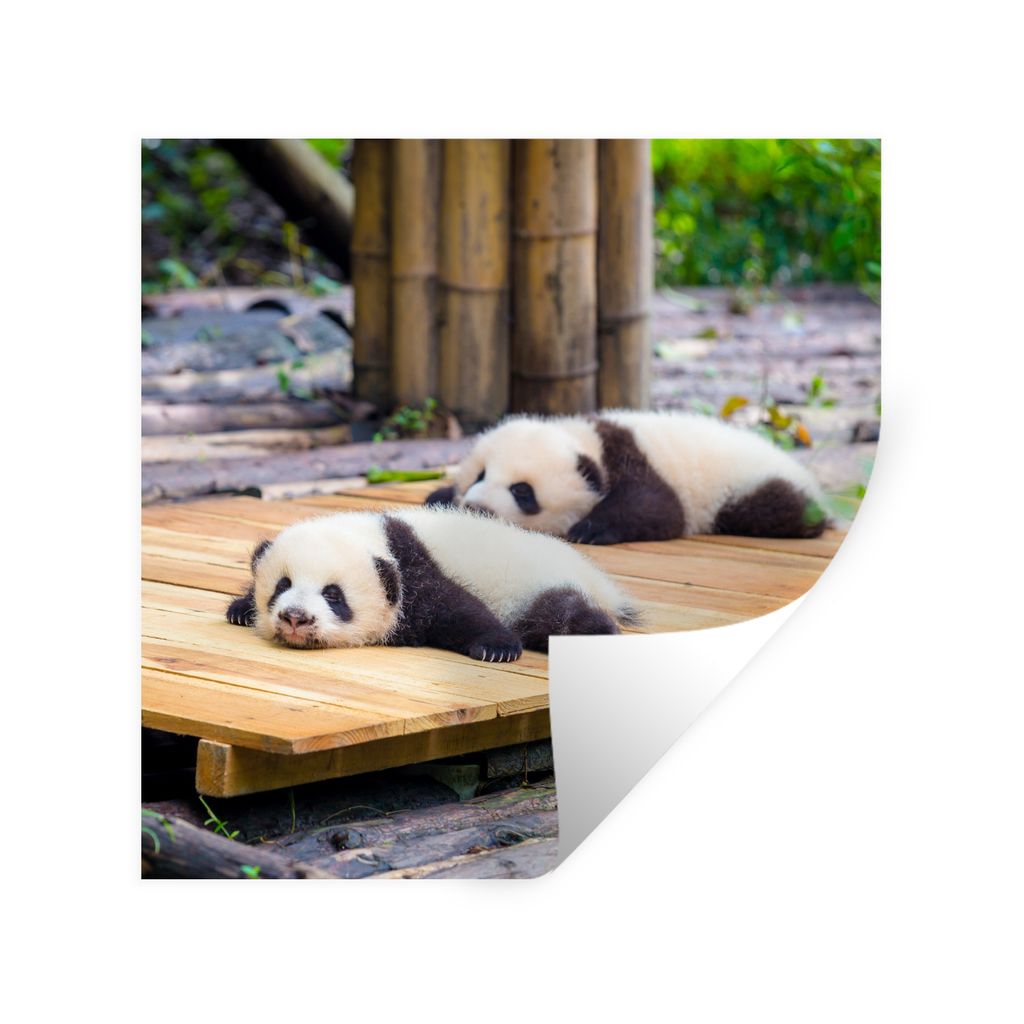 MuchoWow Wandtattoo Wandsticker Wandaufkleber Pandas - Boden - Holz 100x100 cm Selbstklebend und Repositionierbar - Wierderverwendbar - Selbstkle...