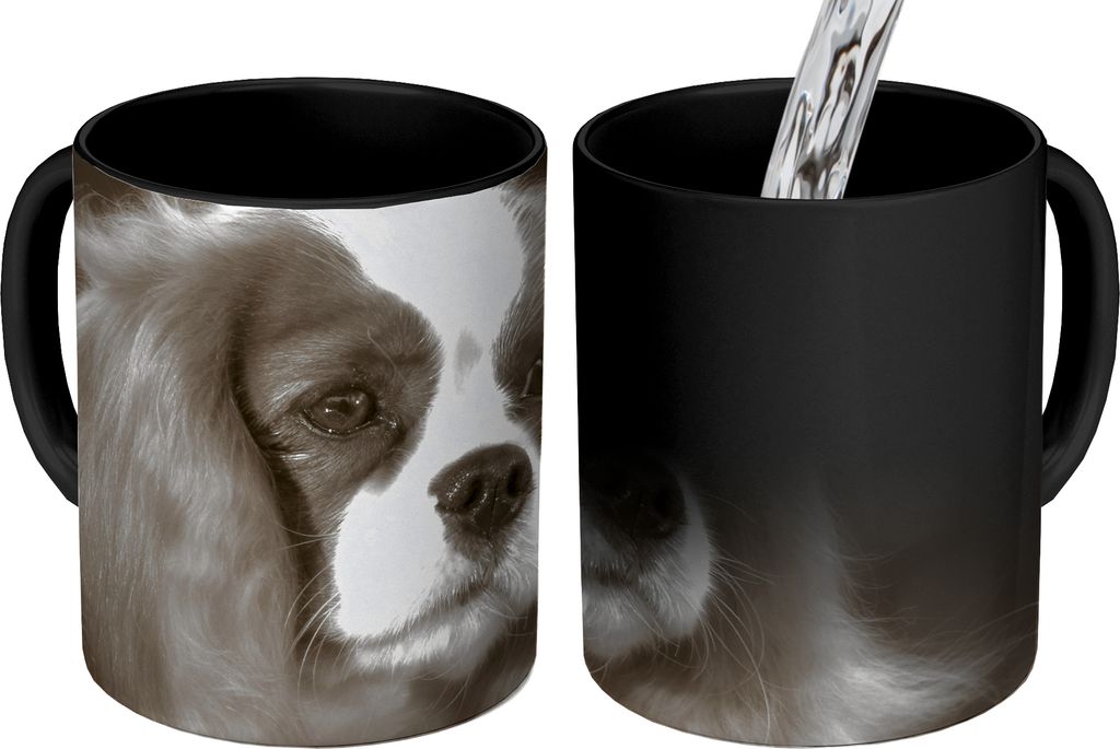 MuchoWow Zauber Tasse Zaubertasse Magic Schwarz-Weiß-Foto eines Cavalier King Charles Spaniels 350 ml Farbwechsel Becher Geschenk Geschenkidee -...