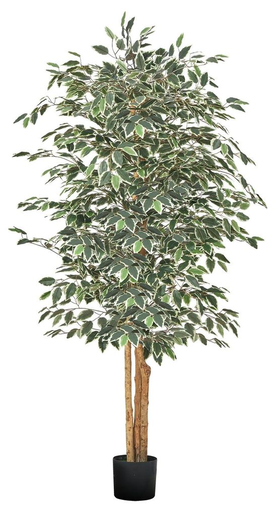 VEVOR Albero di ficus artificiale, 1,8 m, con vaso nero, Immagine del prodotto 