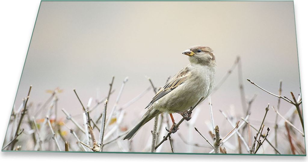 Herdabdeckplatte Glaskeramik 1 Teilig 80x52 Natur Weiß Abdeckung Glas Spritzschutz