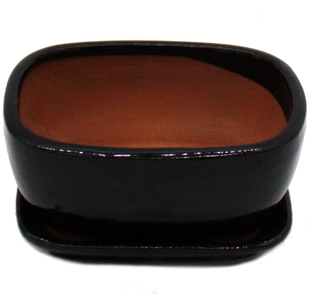 Bol Breton Pot à Bonsaï Rectangulaire Avec Soucoupe - Taille 6, 37x28x10 Cm - Céramique Yixing Marron/beige - Modèle GB5 Bol Breton Pot à Bonsaï Rectangulaire Avec Soucoupe - Taille 6, 37x28x10 Cm - Céramique Yixing Marron/beige - Modèle GB5