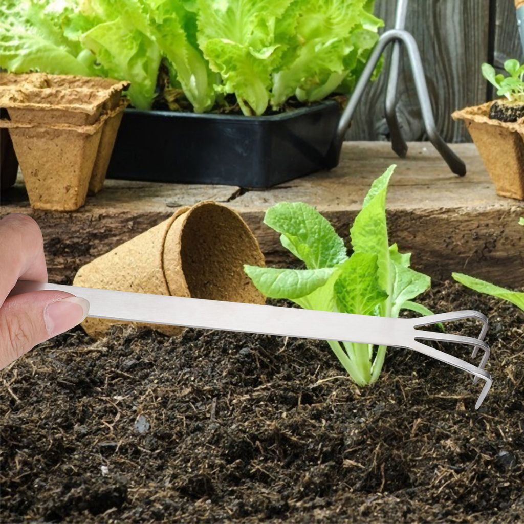 Bonsai Tool,Gardening Tool,Root Rake,Root Spatula,Stainless Steel Bonsai Tool
