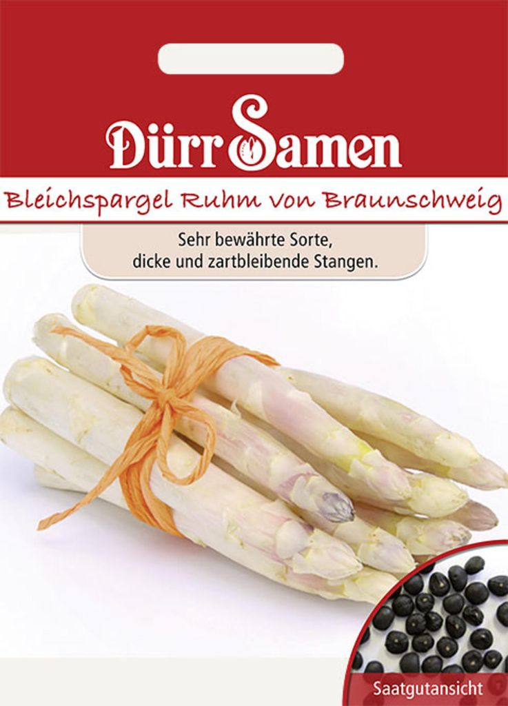 Dürr-Samen - Bleichspargel Ruhm von Braunschweig - Saatgut Produktbild 