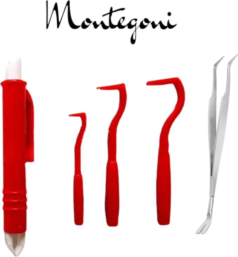 Profi Edelstahl Kunststoff Zeckenentferner 5 Set,Zeckenzange Zeckenpinzette Zeckenhaken Zeckenhebel ,Zeckenentfernung fur Mensch und Tier
