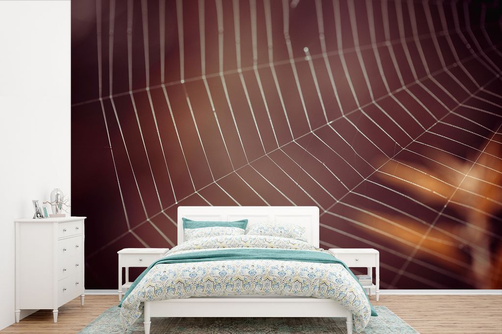MuchoWow Fototapete für Wohnzimmer oder Schlafzimmer Wandtapete Vinyl Motivtapete Spinnennetz mit klaren Linien - 360x240 cm - Vinyl-Tapete