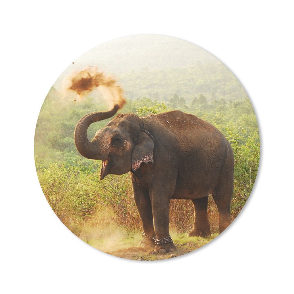MuchoWow Mauspad Mousepad Elefant - Tiere - Wald - Bäume 50x50 cm - Mousepads - Maus Mat - Pad - Mausunterlage - Vinyl