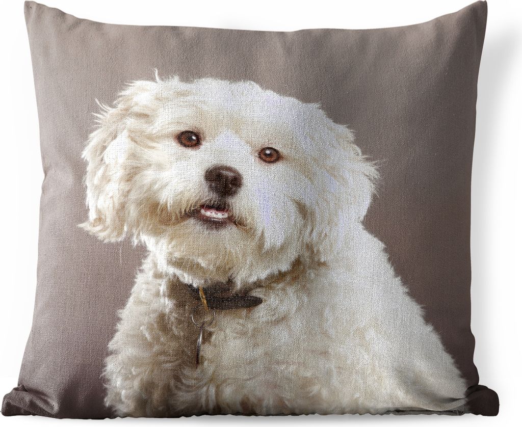 MuchoWow Outdoor Kissen - Malteser Hund Porträt - 45x45 cm - Wetterfest - Lounge Kissen - Fotokissen - Dekoratives Kissen
