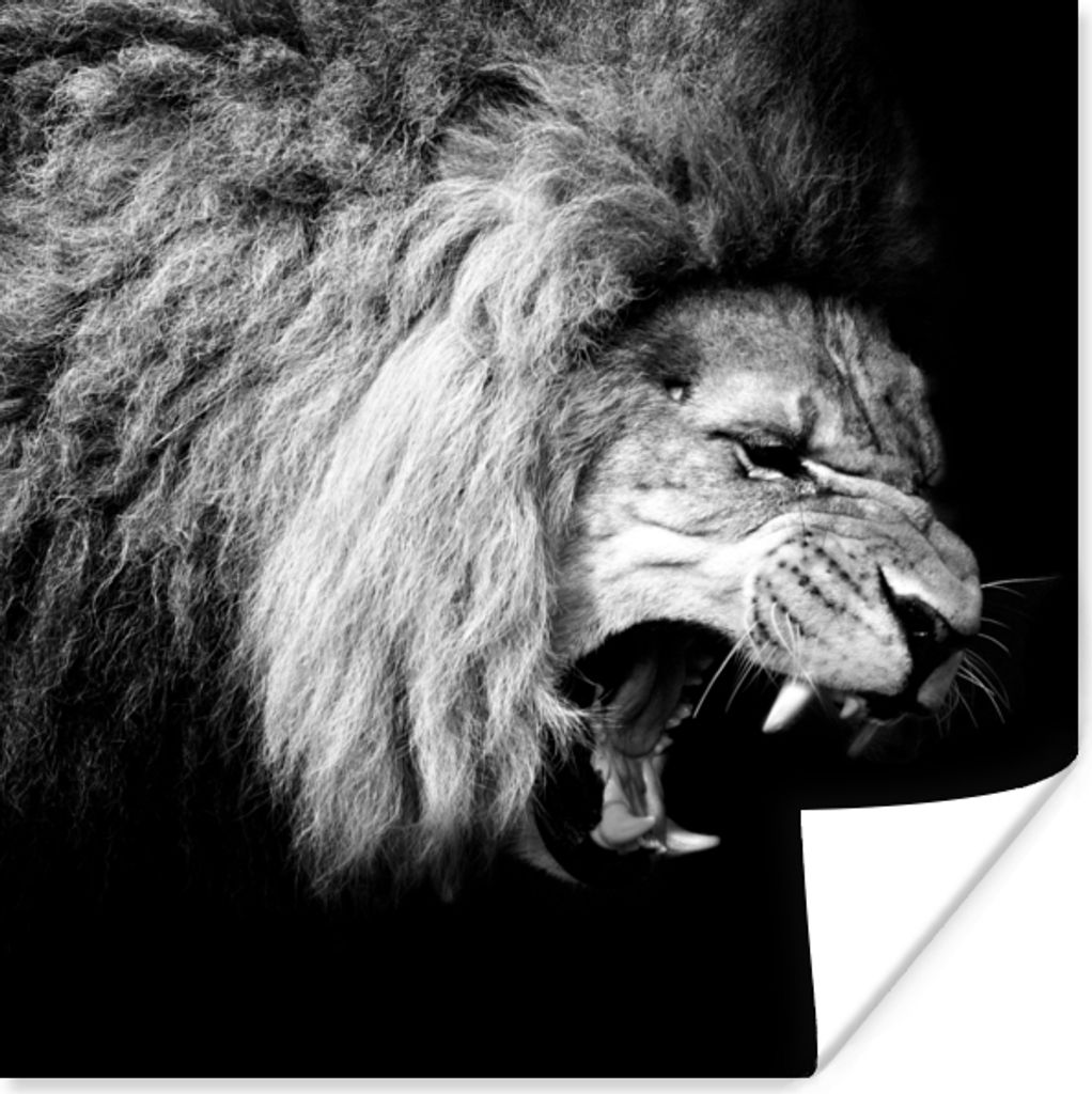 MuchoWow Poster Löwe - Porträt - Schwarz - Weiß - Tiere 75x75 cm - Wand Dekoration