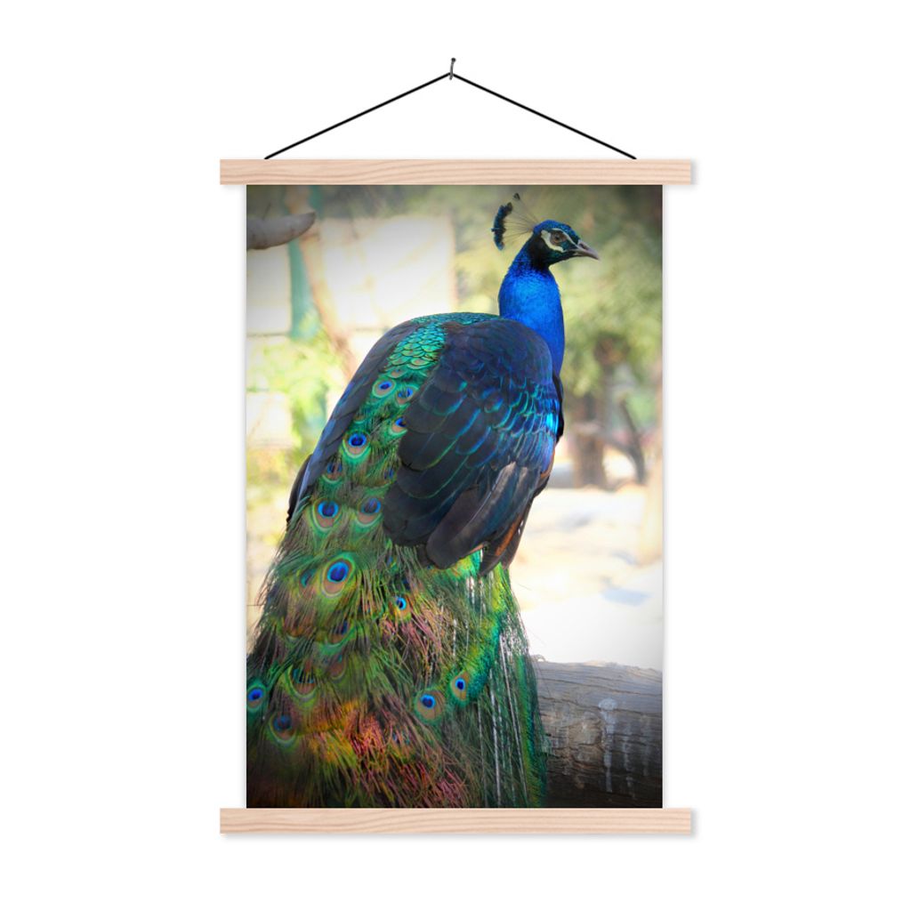 MuchoWow® Textilposter Tiere - Pfau - Federn 40x60 cm mit Produktbild 
