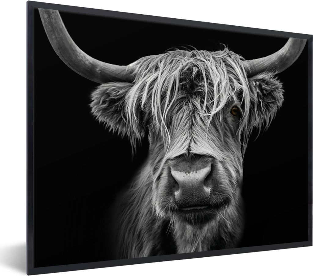 MuchoWow Gerahmtes Poster Schottischer Highlander - Hörner - Schwarz - Weiß - Kuh - Wild - Tiere 40x30 cm - Poster mit Schwarzem Bilderrahmen W...