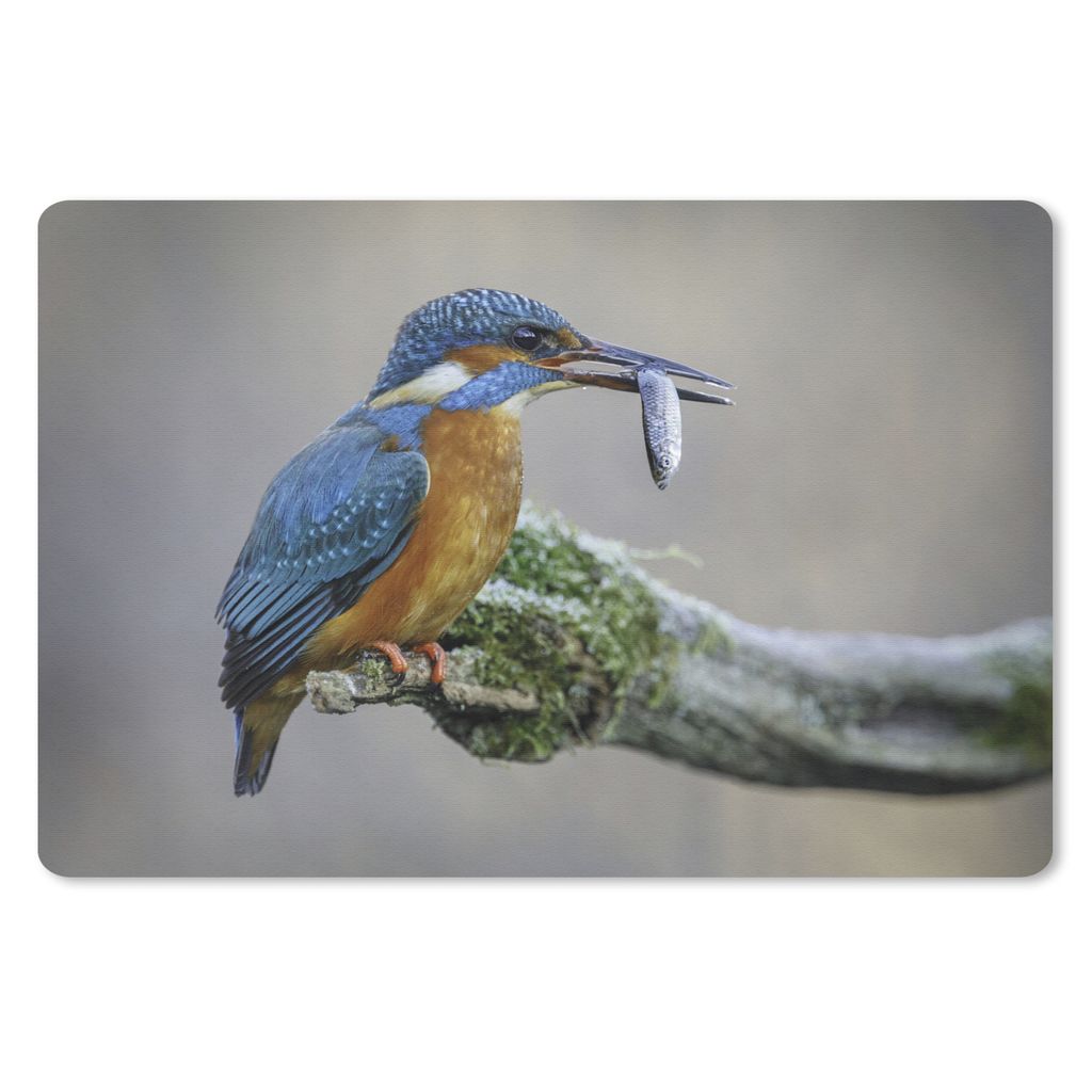 MuchoWow Mauspad Mousepad Eisvogel - Fisch - Tier 27x18 cm - Mousepads - Maus Mat - Pad - Mausunterlage - Büroartikel - Desk Matten