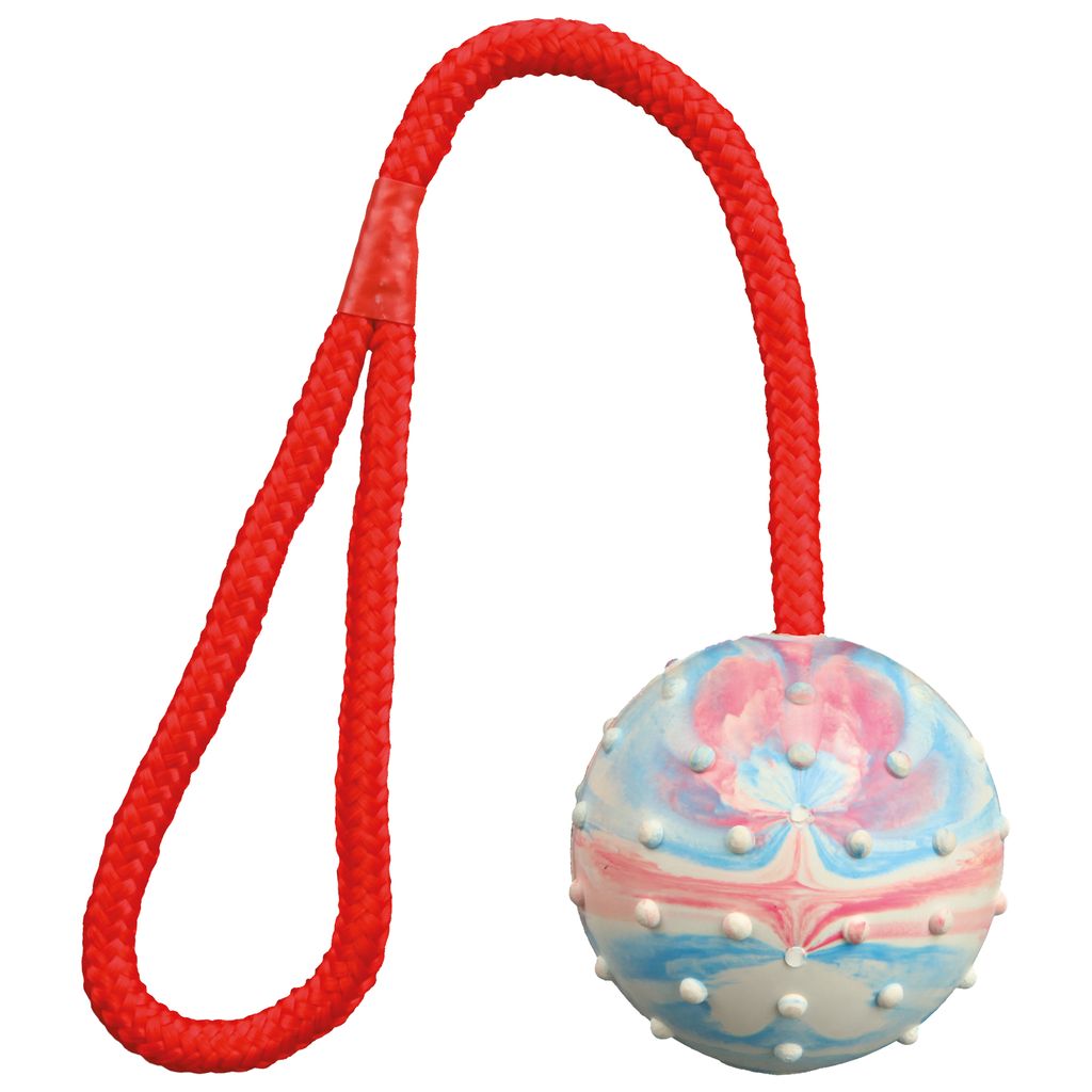 Ball am Seil, Naturgummi ø 6/30 cm petrol/orange Immagine del prodotto 