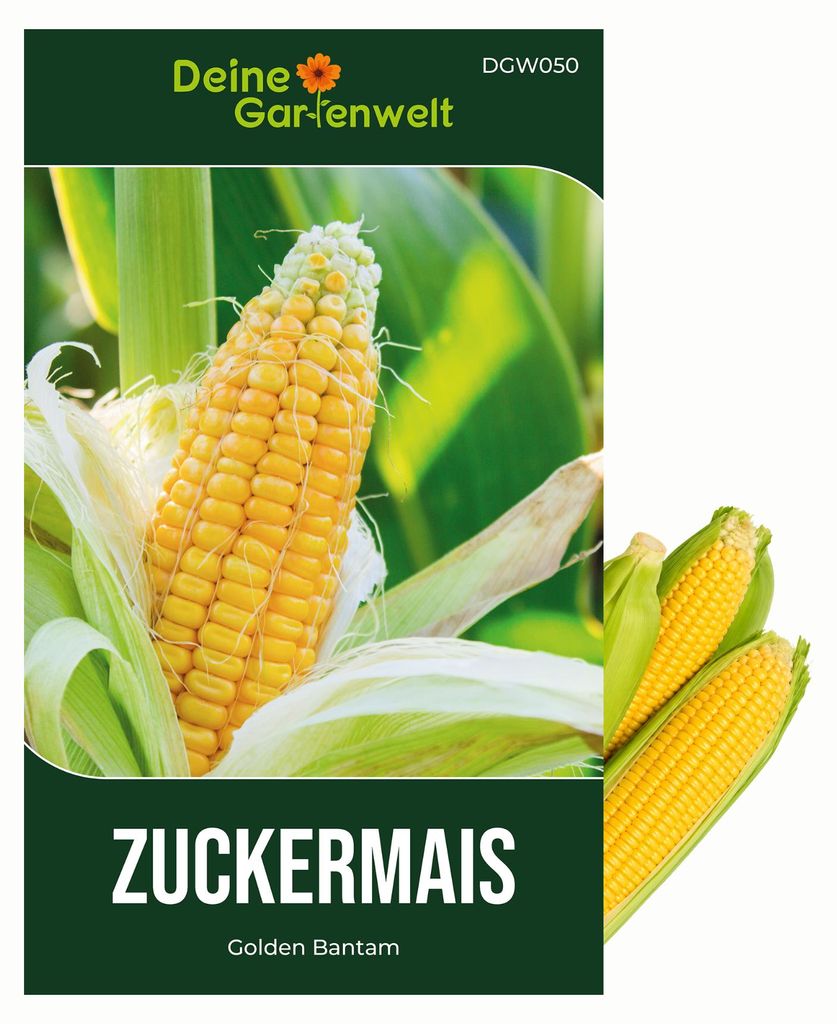 Zuckermais Golden Bantam Samen - Zea mays - Zuckermaissamen Produktbild 