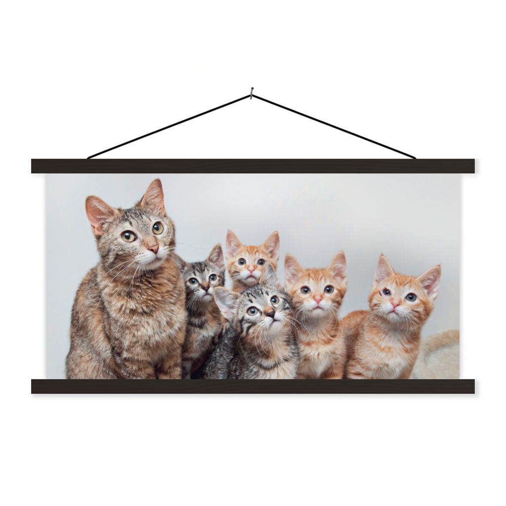 MuchoWow Textilposter Katze - Kätzchen - Fell 60x30 cm mit schwarzem Rahmen - Textilien