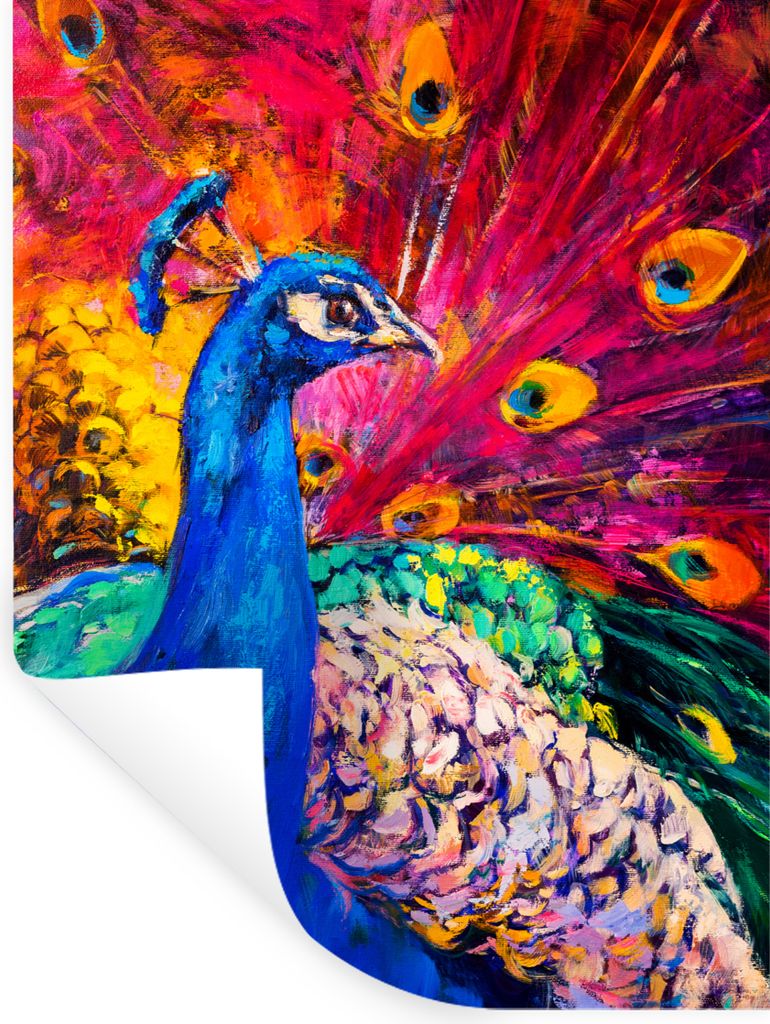 MuchoWow Wandtattoo Wandsticker Wandaufkleber Gemälde - Vogel - Pfau - Ölgemälde 120x160 cm Selbstklebend und Repositionierbar - Wierderverwen...