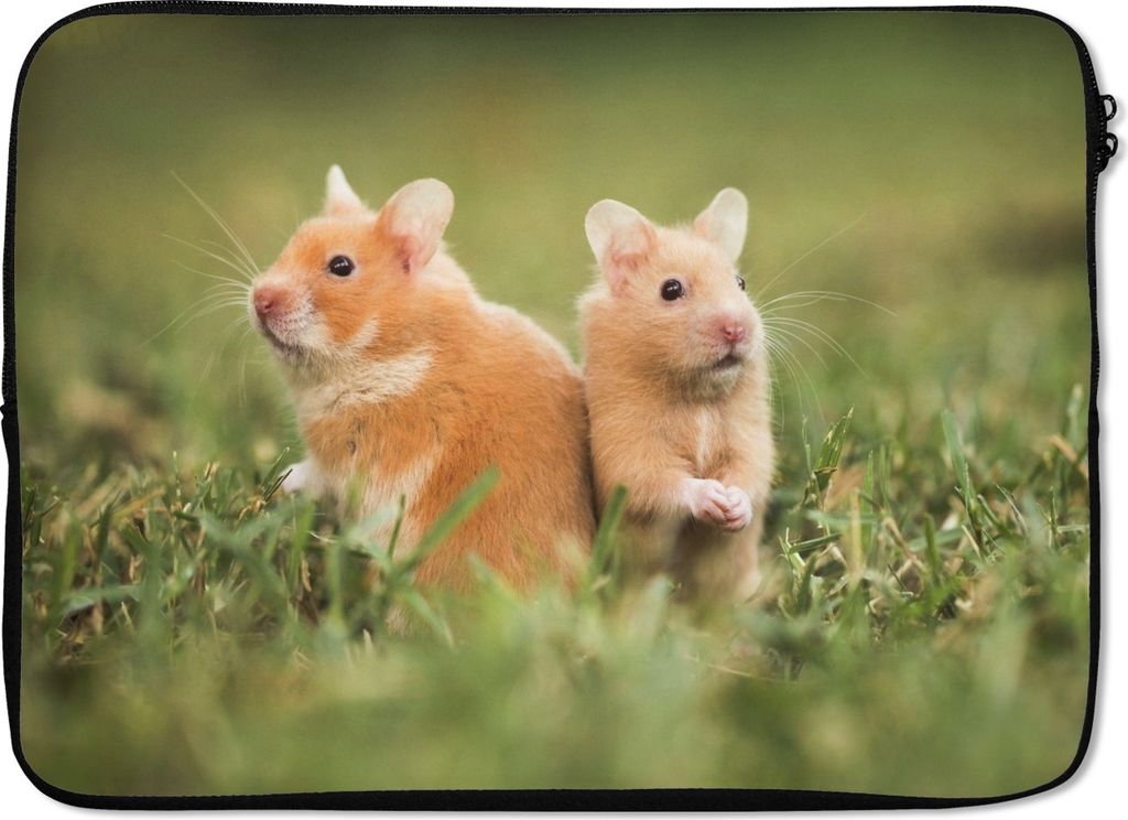MuchoWow Laptop Hülle 14 ZollGoldhamster Laptoptasche - Laptoptasche - Stoßsicher - Schutzhaube