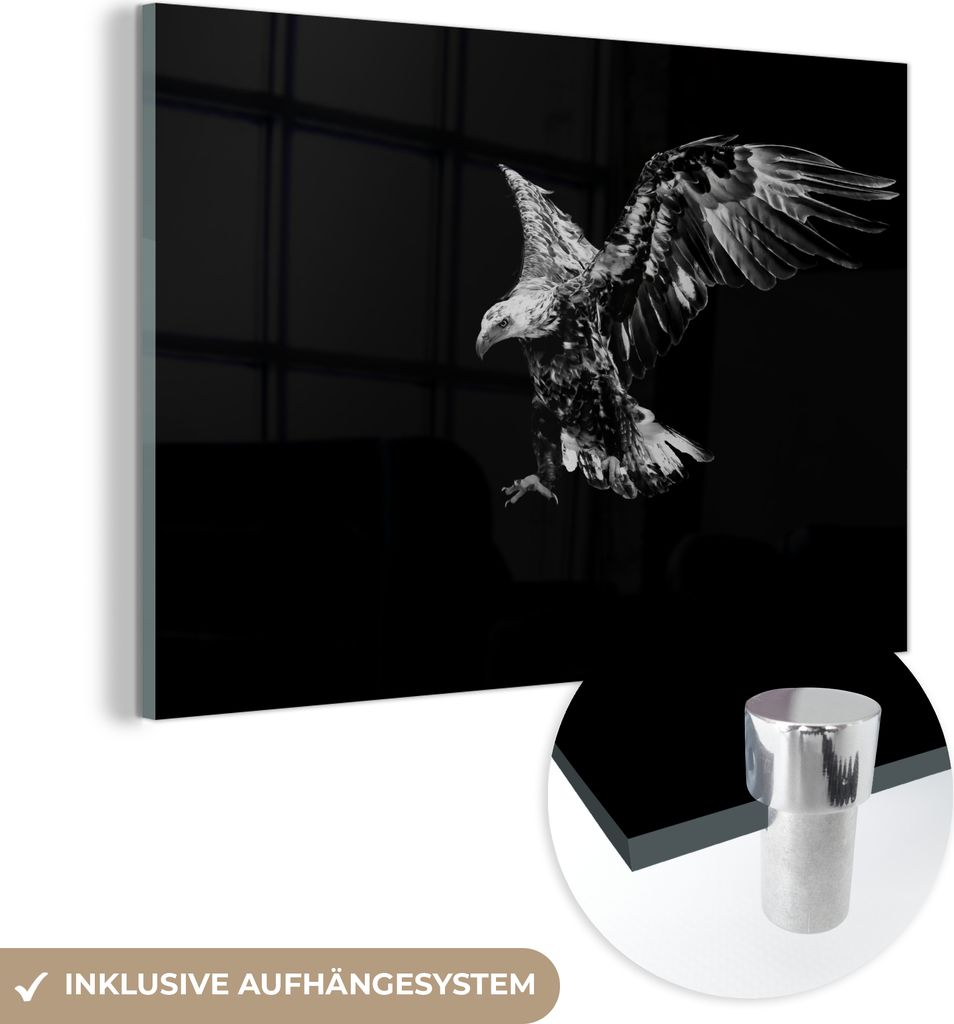 MuchoWow Glasbilder - Bilder auf Wandbild - Foto auf Glas Eagle dark - schwarz und weiß 30x20 cm Wanddekoration aus Glas - Acrylglasbild - Acrylbi...
