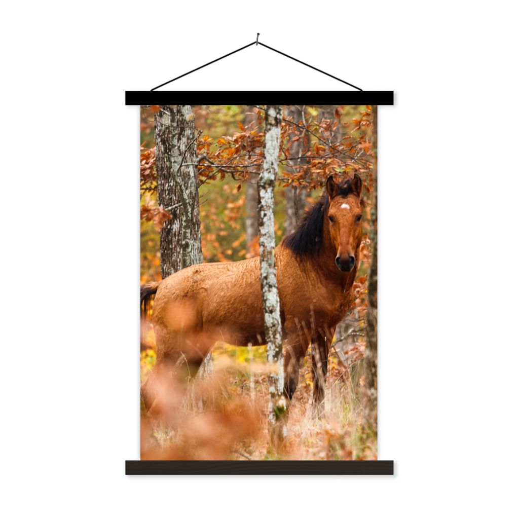 MuchoWow Textilposter Pferd - Wald - Braun 120x180 cm mit schwarzem Rahmen - Fotos