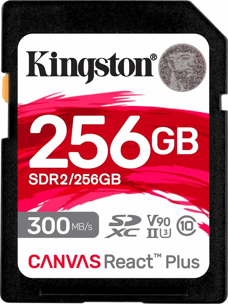 Carte SD 256 Go Kingston pour Photographe Pro et Vidéaste Format RAW