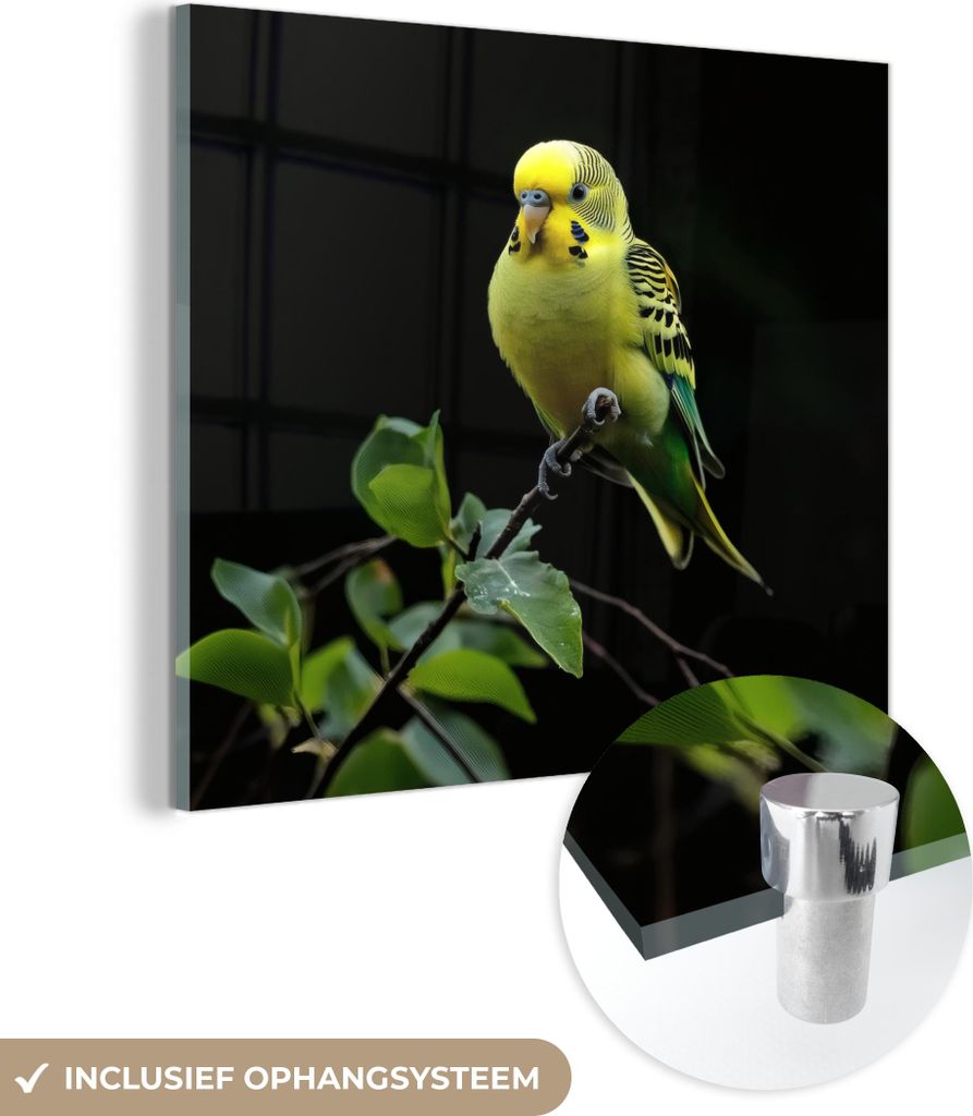 MuchoWow Glasbilder - Bilder auf Wandbild - Foto auf Glas Sittich - Zweig - Blätter - Gelb 40x40 cm Wanddekoration aus Glas - Acrylglasbild - Acry...