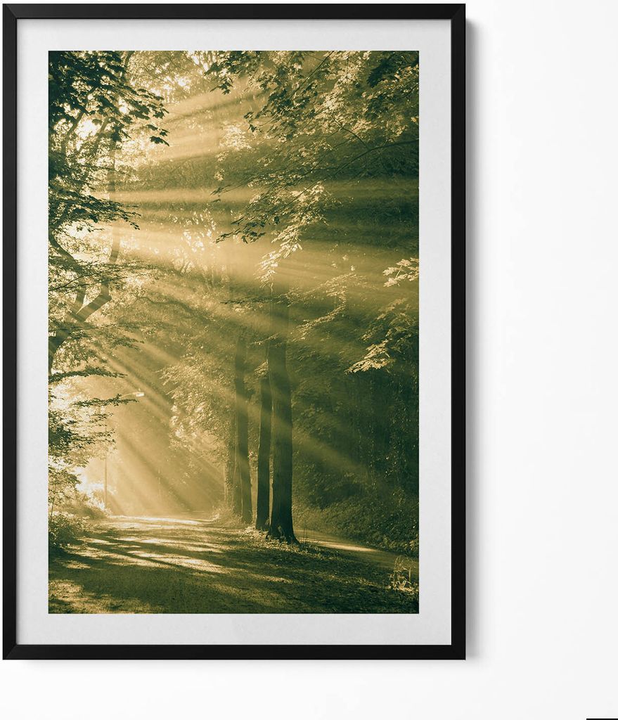 Sonnenschein in einem Wald– Wandbild mit Rahmen – Gerahmtes Bild – Wanddekoration – 70x100 cm – Schwarz Rahmen
