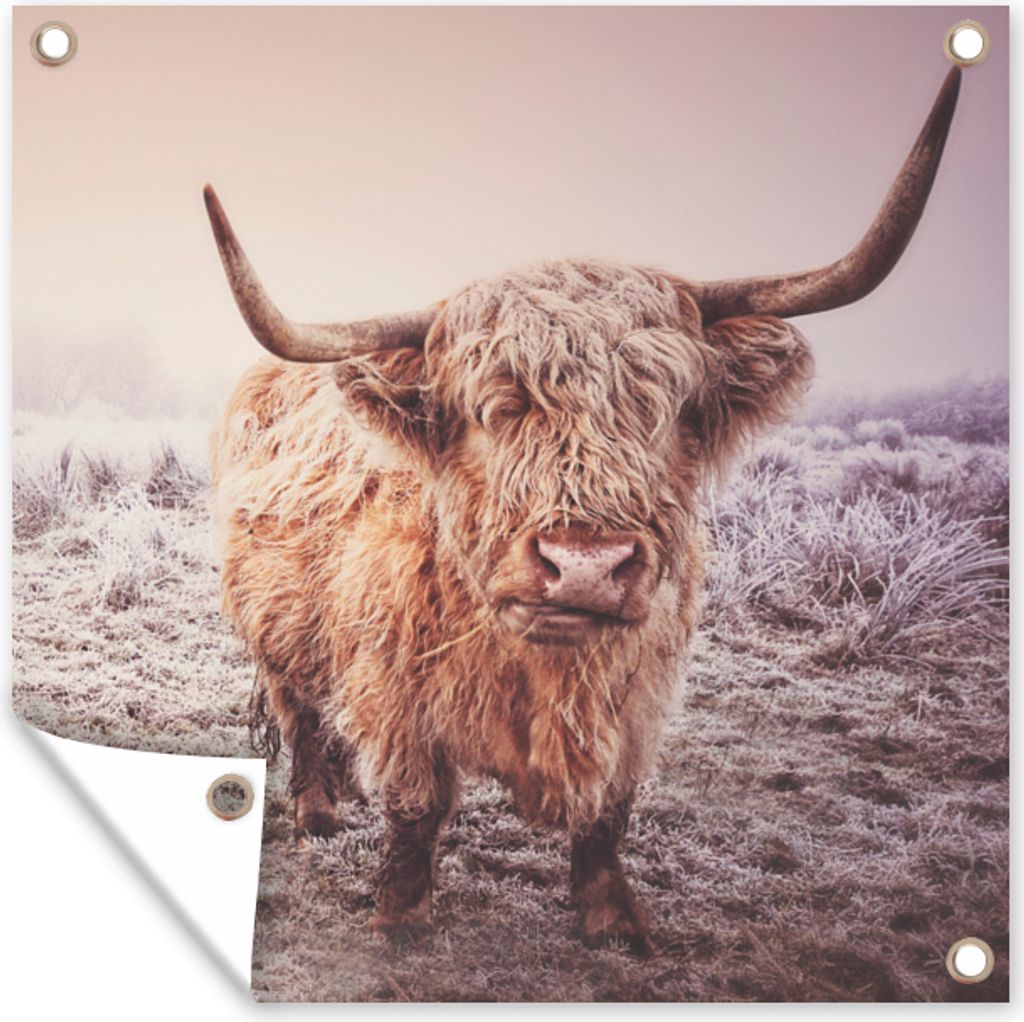 MuchoWow 50x50 cm Outdoor-Poster Gartendeko Sichtschutz Garten Poster für den Garten Schottische Highlander - Schnee - Sonne