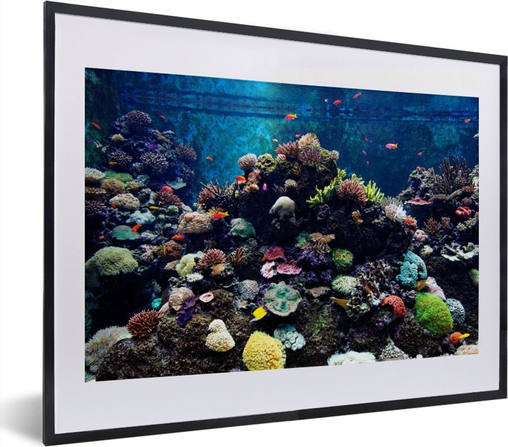 MuchoWow MuchoWow Gerahmtes Poster Aquarium mit tropischen Fischen und Korallen 40x30 cm - Poster mit zchwarzem Bilderrahmen - Bilderrahmen - P...