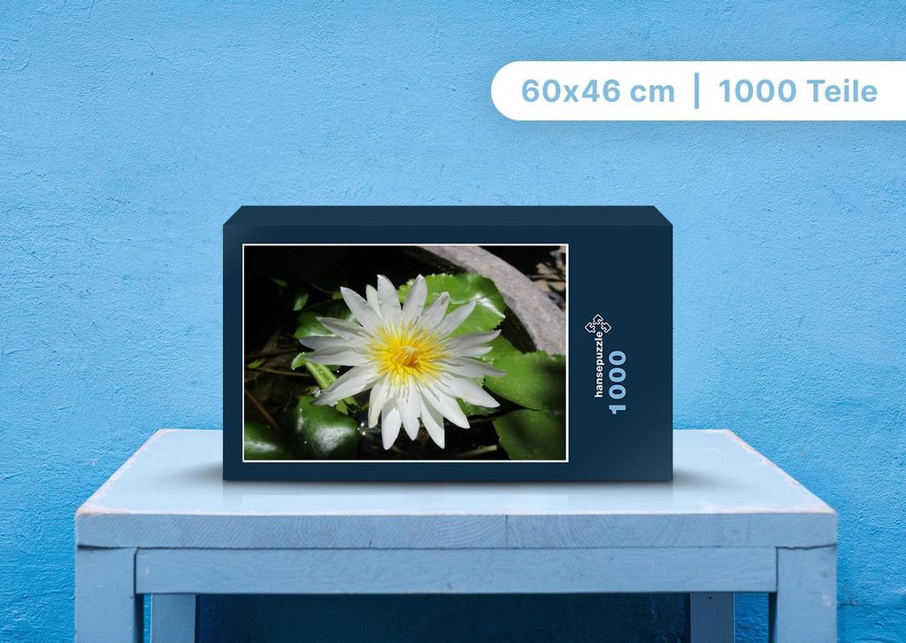 hansepuzzle 103689 - Lotus Puzzle, 1000 Teile, Natur, 60,0 x 46,0cm mit hochwertiger Aufbewahrung, Kartonbox und wiederverschließbarem Beutel