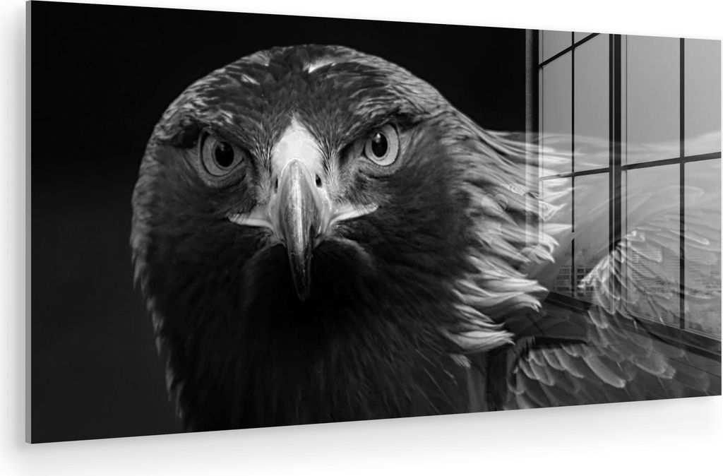 MuchoWow Glasbilder - Bilder auf Wandbild - Foto auf Glas Bussard - Vogel - Tiere - Schwarz - Weiß 80x40 cm Wanddekoration aus Glas - Acrylglasbil...