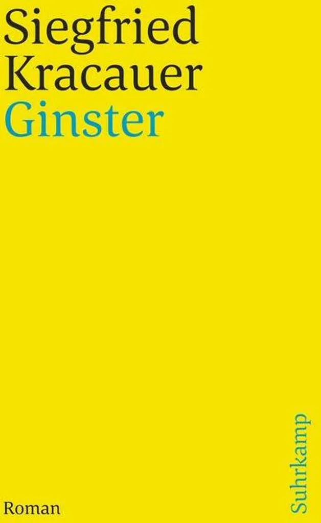 Ginster Genêt pour Sol Pauvre et Sablonneux Solution Jardinage Facile