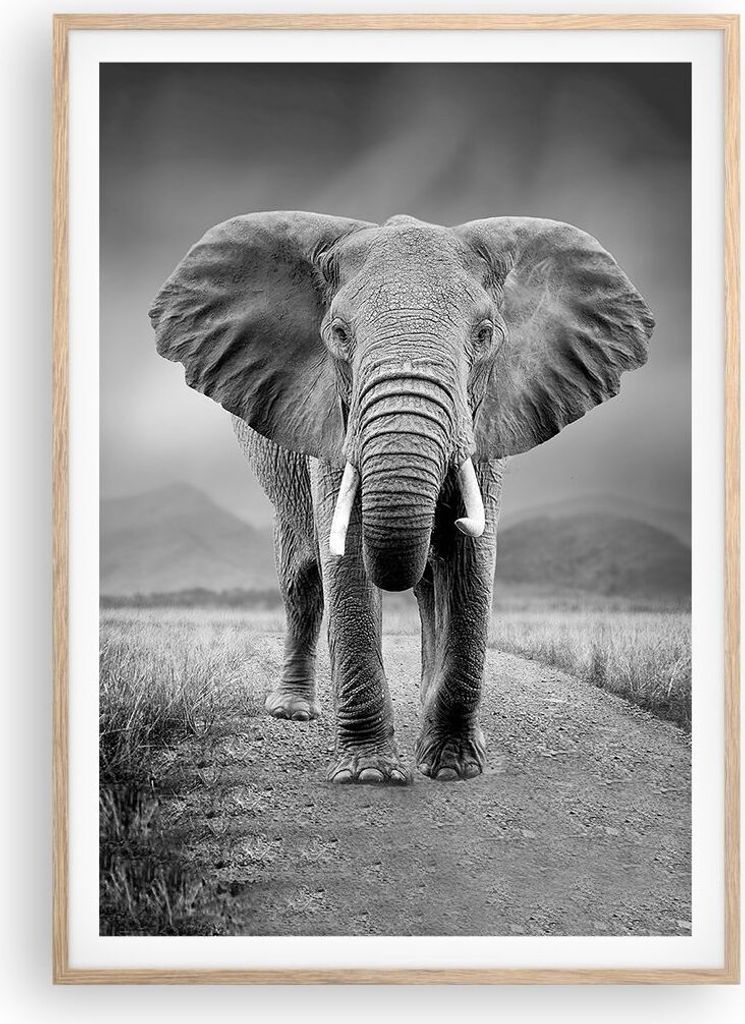 Gerahmtes Poster - Rahmen in heller Eiche - Elefant Wildnis Natur - 70x100 cm - Wand Bild - Wanddeko - Wandbilder - Kunstposter - Wandposter - Bild...