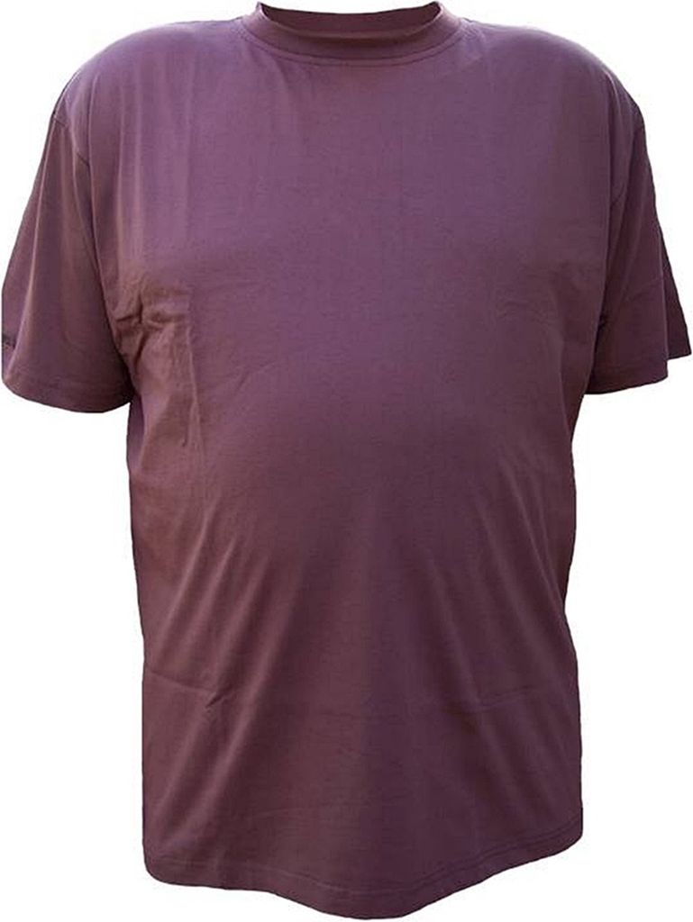 Übergrößen Tolles Basic T-Shirt mit Rundhals RAMMBOCK Braun mit Stickerei 6XL