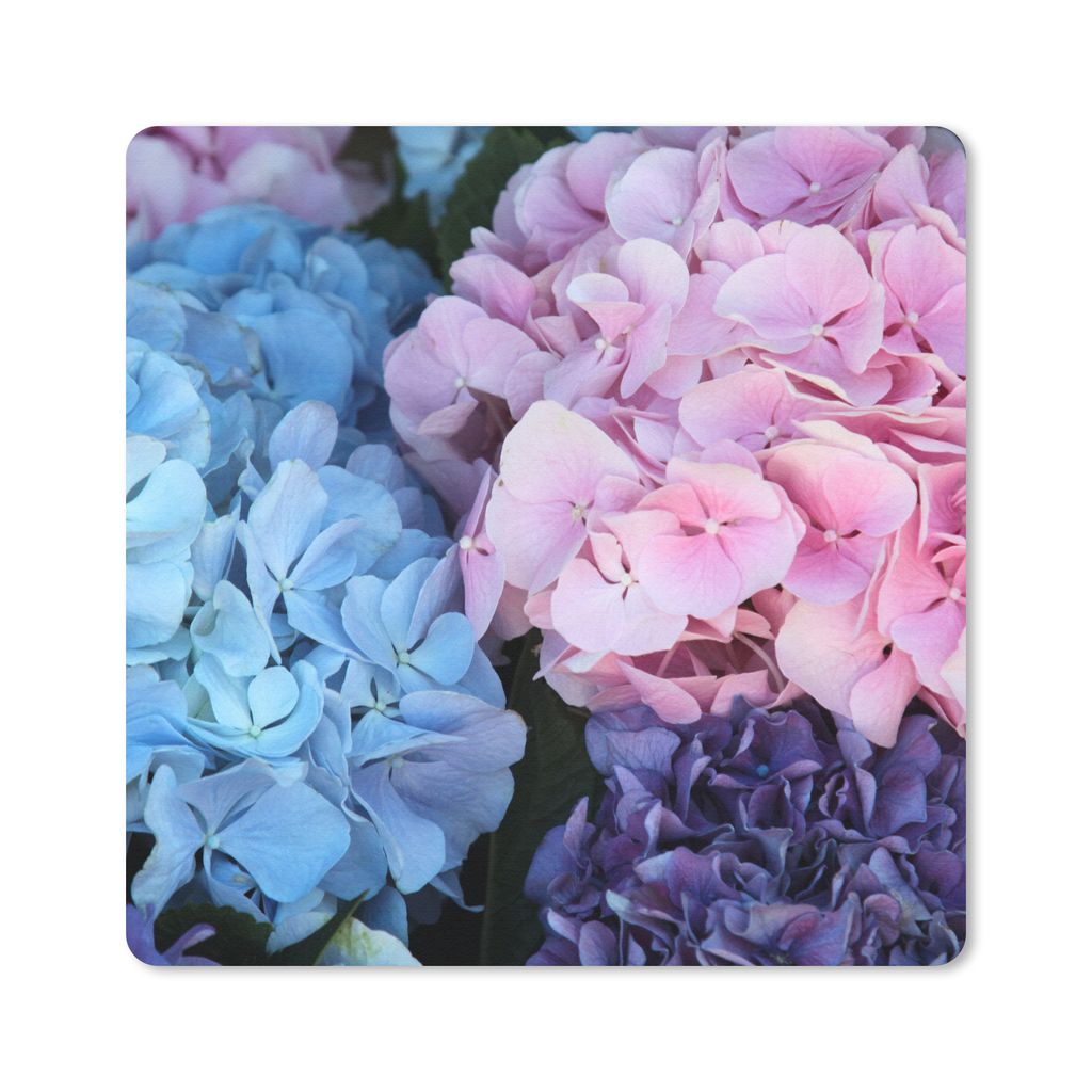MuchoWow Mauspad Mousepad Blumen - Strauch - Hortensie - Botanisch 30x30 cm - Mousepads - Maus Mat - Pad - Mausunterlage - Gaming