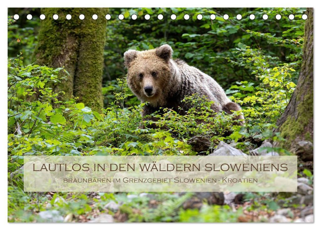 Lautlos in den Wäldern Sloweniens (Tischkalender 2027 DIN A5 quer), CALVENDO Monatskalender