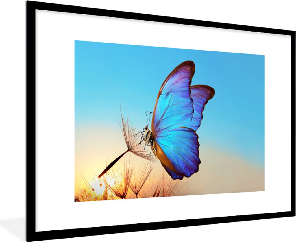 MuchoWow Gerahmtes Poster Schmetterling - Löwenzahn - Blau 90x60 cm - Poster mit Schwarzem Bilderrahmen Wandposter Rahmen Foto Bilder - Wanddeko...