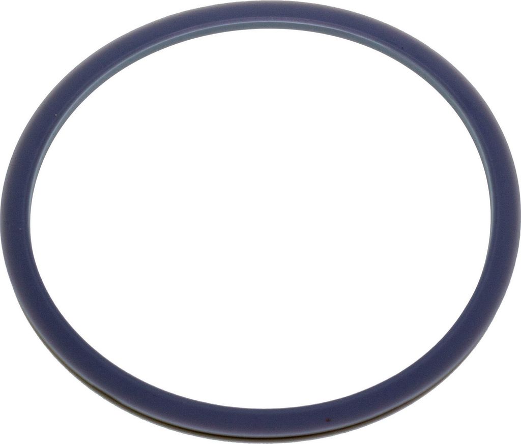 A blue rubber ring on a white background.