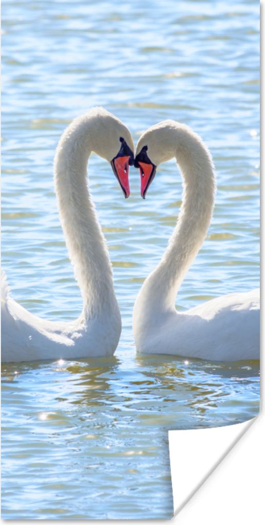 MuchoWow Poster Vögel - Schwan - Wasser - Liebe - Sonne 80x160 cm - Kinderzimmer