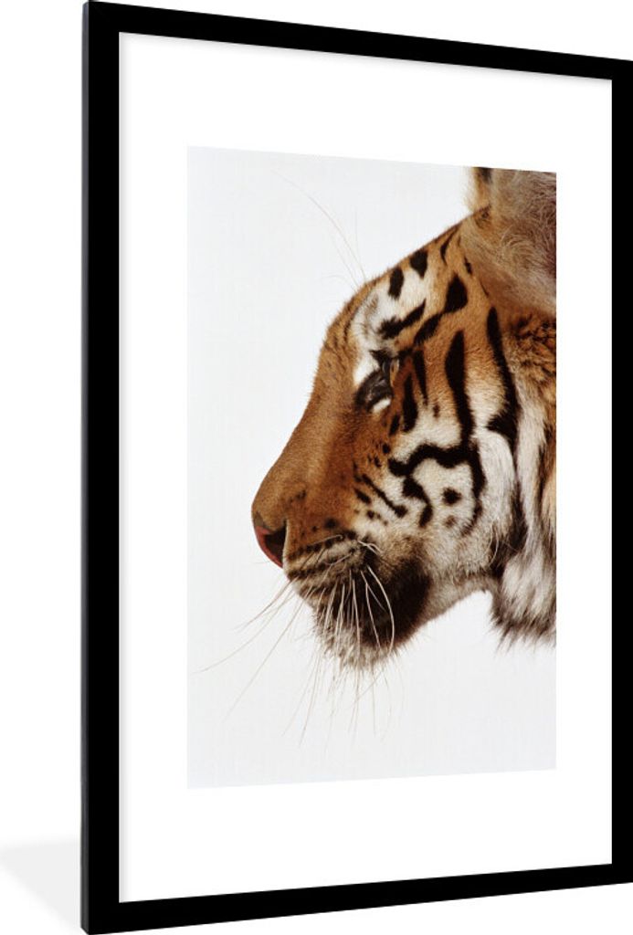 MuchoWow Gerahmtes Poster Tiger - Wilde Tiere - Schnurrhaare 60x90 cm - Poster mit Schwarzem Bilderrahmen Wandposter Rahmen Foto Bilder - Dekorat...