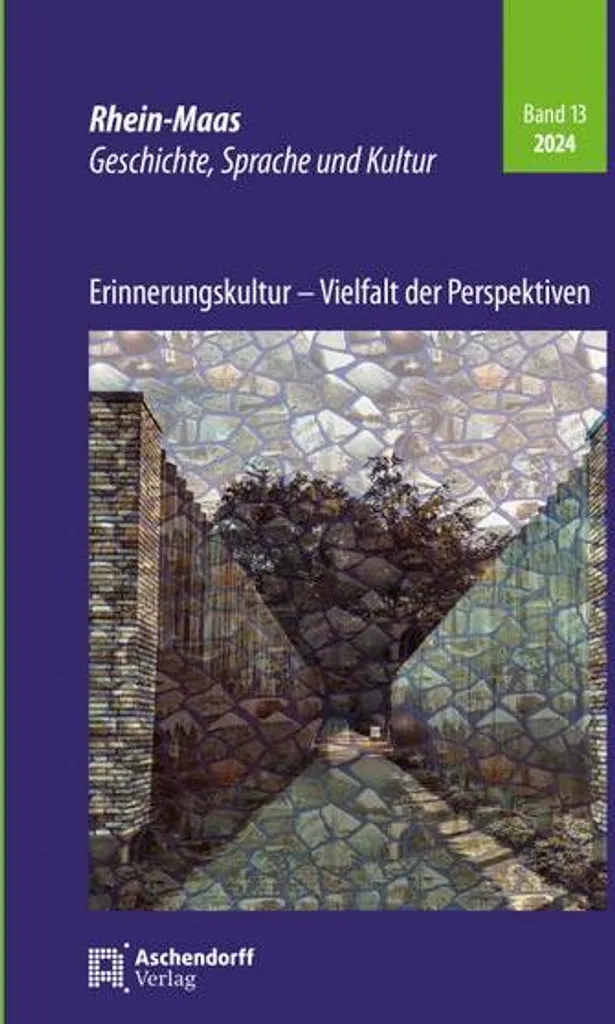 Livre Erinnerungskultur Vielfalt der Perspektiven histoire allemande