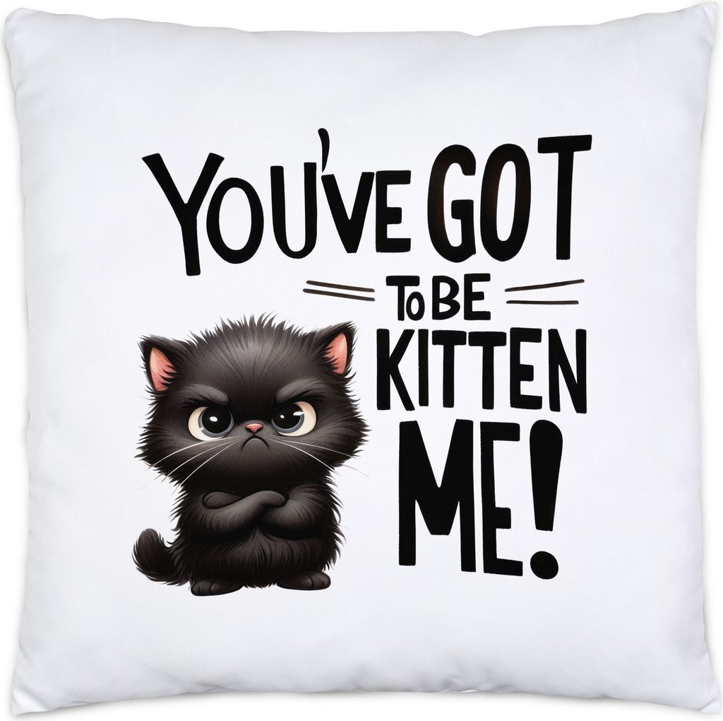You’ve Got to Be Kitten Me Kissen Inkl. Füllung Katze Lustig Süß Geschenkidee für Katzenliebhaber