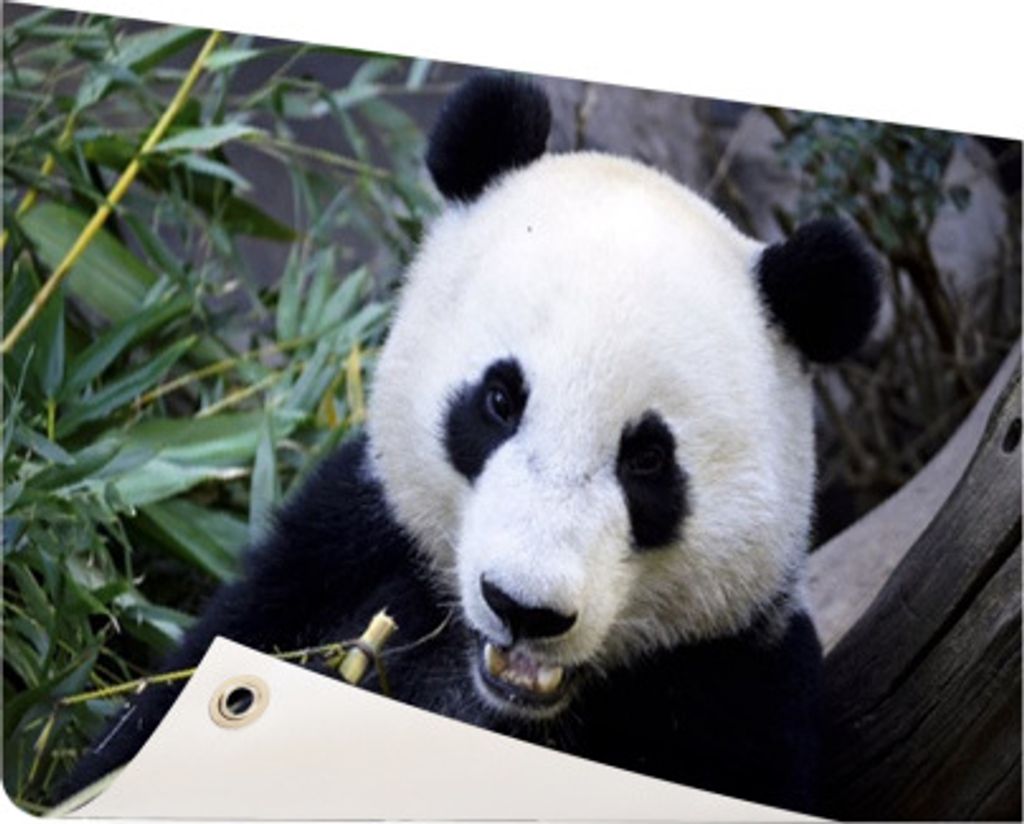 MuchoWow 60x40 cm Outdoor-Poster Gartendeko Sichtschutz Garten Poster für den Garten Panda - Tier - Blätter