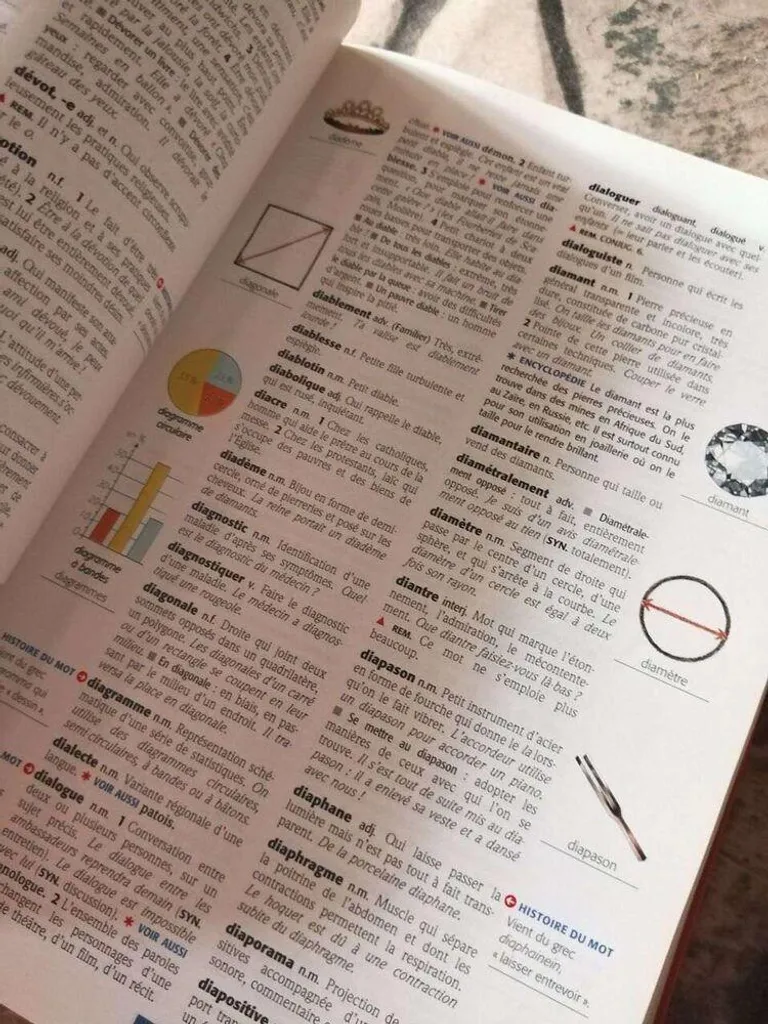 Dictionnaire Scolaire Larousse Super Major pour Devoirs et Exposés CM1-6e
