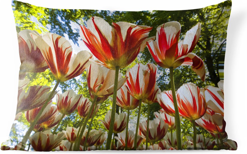 MuchoWow Outdoor Kissen - Ein Garten mit roten und weißen Tulpen - 50x30 cm - Wetterfest - Lounge Kissen - Sofa kissen - Wohnzimmer Dekoration