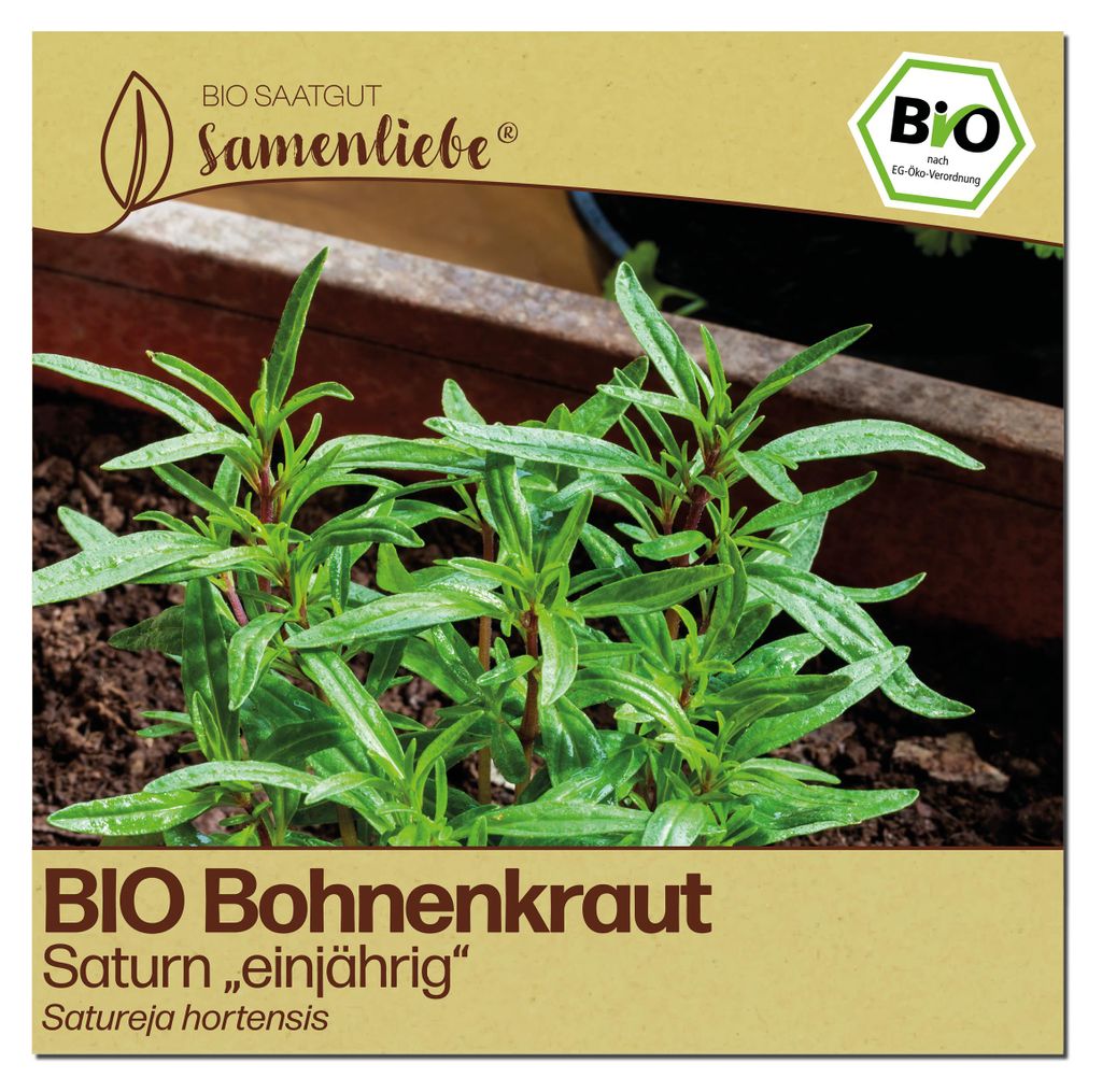 Samenliebe  Bohnenkraut Samen | Saturn - einjährige Sorte - Produktbild 