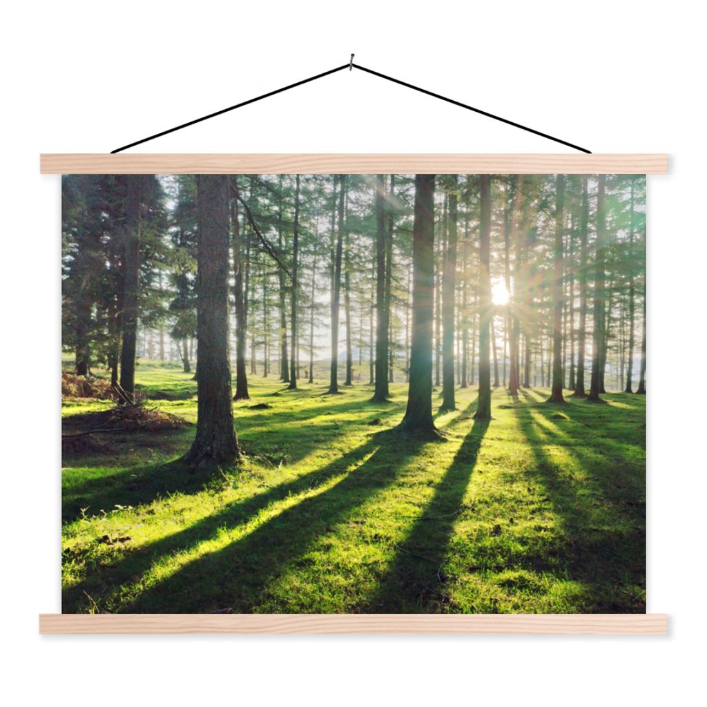 MuchoWow Textilposter Bäume - Natur - Wald 60x45 cm mit holzfarbenen Rahmen - Bild